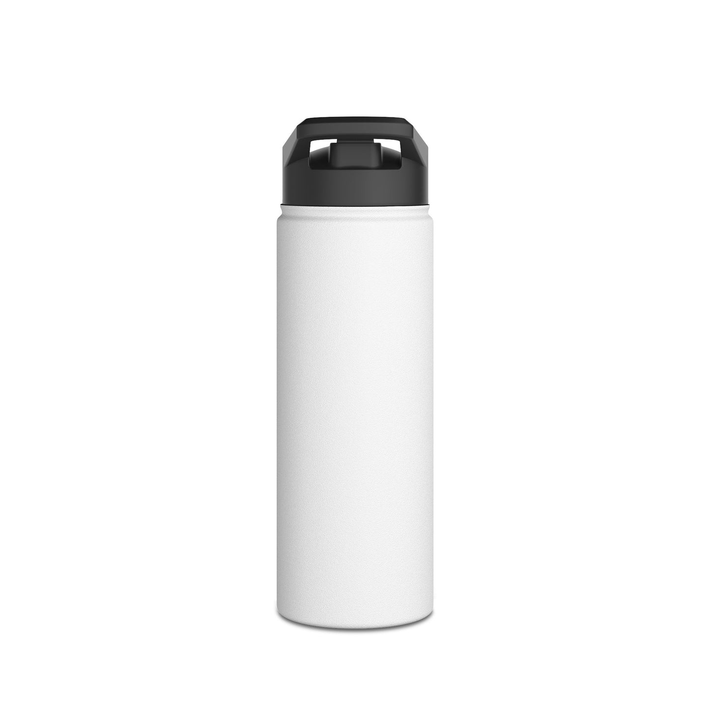 Insulated Stainless Water Bottle
