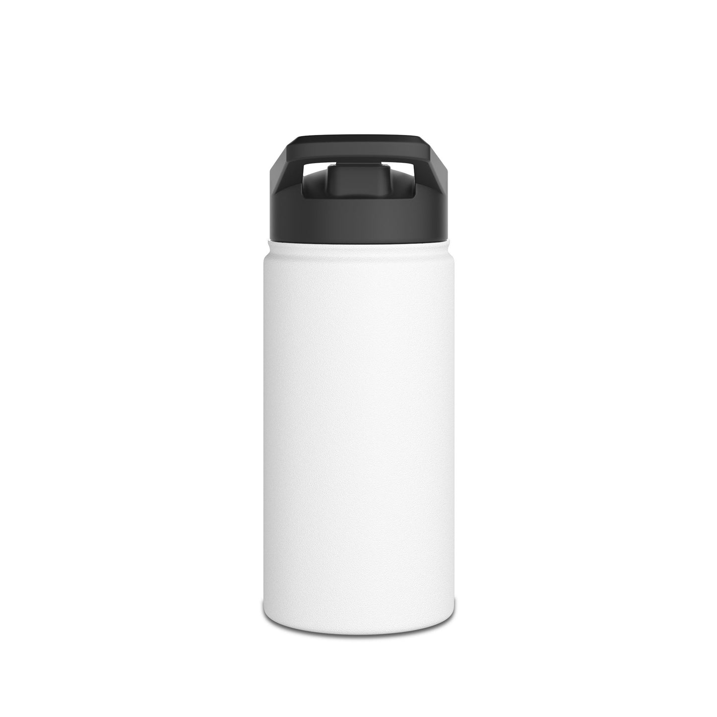 Insulated Stainless Water Bottle